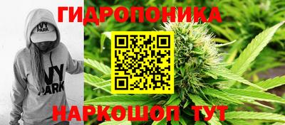 твердый Кингисепп