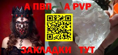 твердый Кингисепп