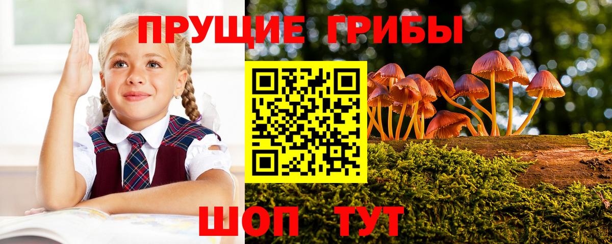 где продают   Псилоцибиновые грибы Cubensis  Красногорск  Вход с VPN  Галлюциногенные грибы Psilocybine cubensis 