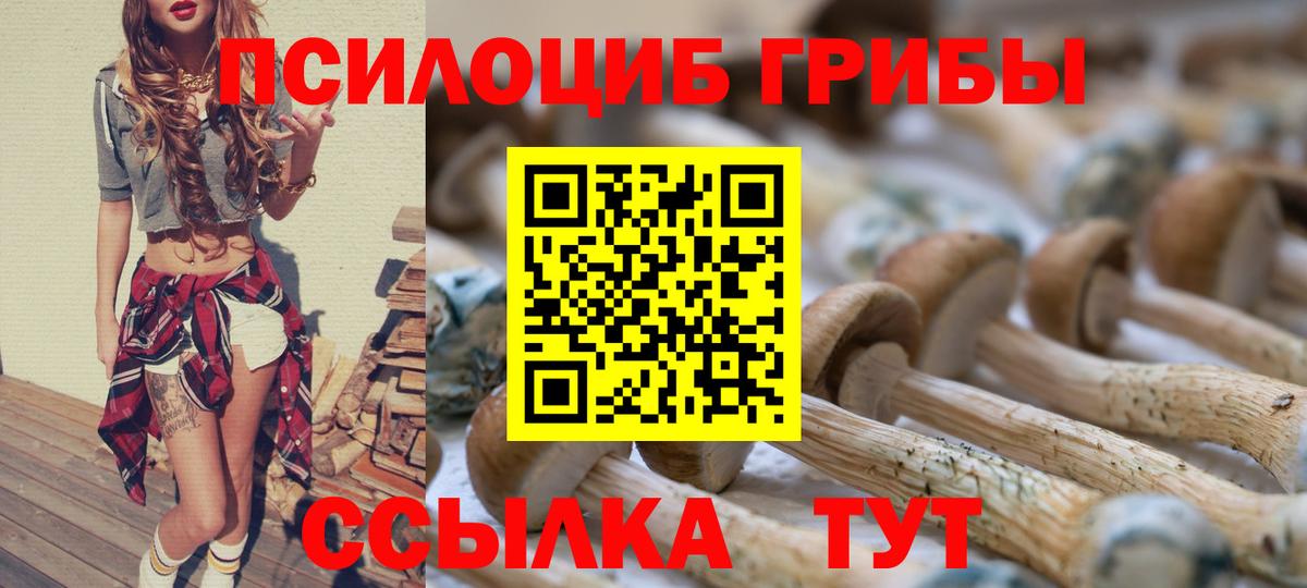 Псилоцибиновые грибы Magic Shrooms Красногорск